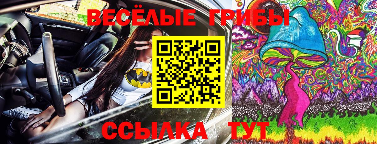 Бахчисарай  Псилоцибиновые грибы мухоморы  Вход с VPN 
